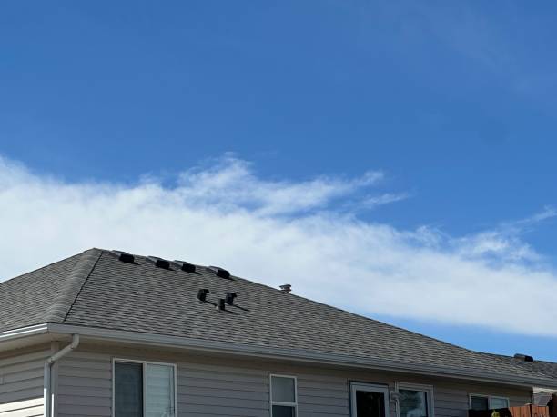 Best Rubber Roofing (EPDM, TPO)  in Lakes West, CT